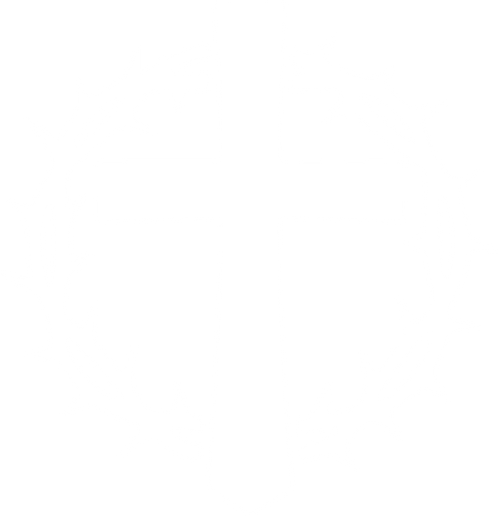Sanctiv Co.